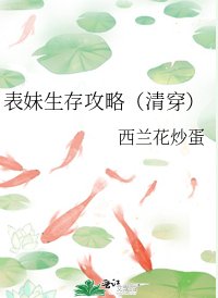 表妹生存攻略（清穿）